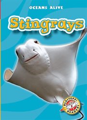 Stingrays cover image cdn
