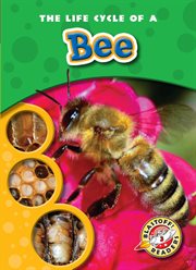 The life cycle of a bee cover image cdn