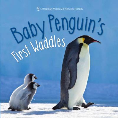 Baby penguin's first waddles  cover image cdn