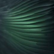 Abcd cover image cdn