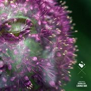 Buddha zen: lounge bar cover image cdn