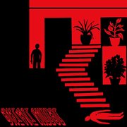 Distant mirror cover image cdn