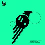 Eternal truths cover image cdn