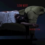 Slow wave cover image cdn