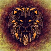 Sunlight cover image cdn