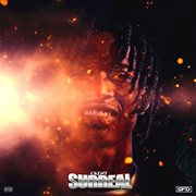 Surreal cover image cdn