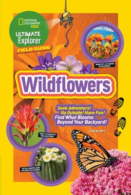 Wildflowers  cover image cdn
