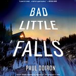 Bad little falls : a novel cover image cdn