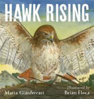Hawk rising  cover image cdn