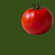 100% take home! / good morning cover image cdn