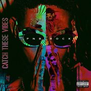Catch these vibes cover image cdn