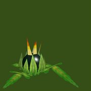 Dad? cover image cdn