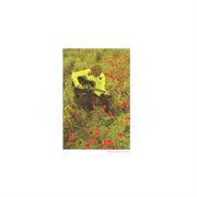 In the poppy fields: bond, no. 3 cover image cdn