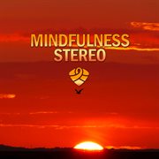 Mindfulness stereo, vol. 9 cover image cdn