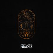 Phoenix cover image cdn