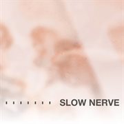 Slow nerve cover image cdn