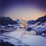 Zoomin cover image cdn