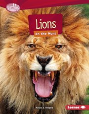 Lions on the hunt cover image cdn