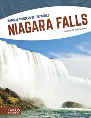 Niagara falls cover image cdn