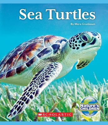 Sea turtles  cover image cdn