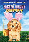 An Easter bunny puppy cover image cdn