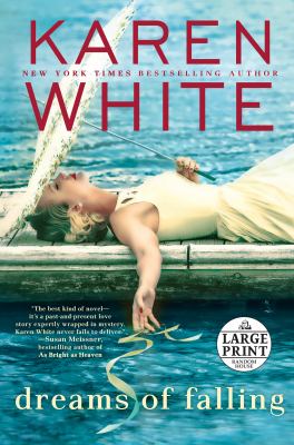 Dreams of falling cover image cdn