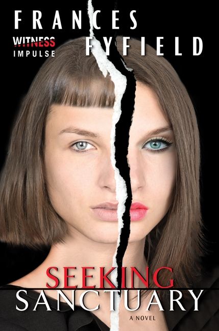 Seeking Sanctuary cover image cdn