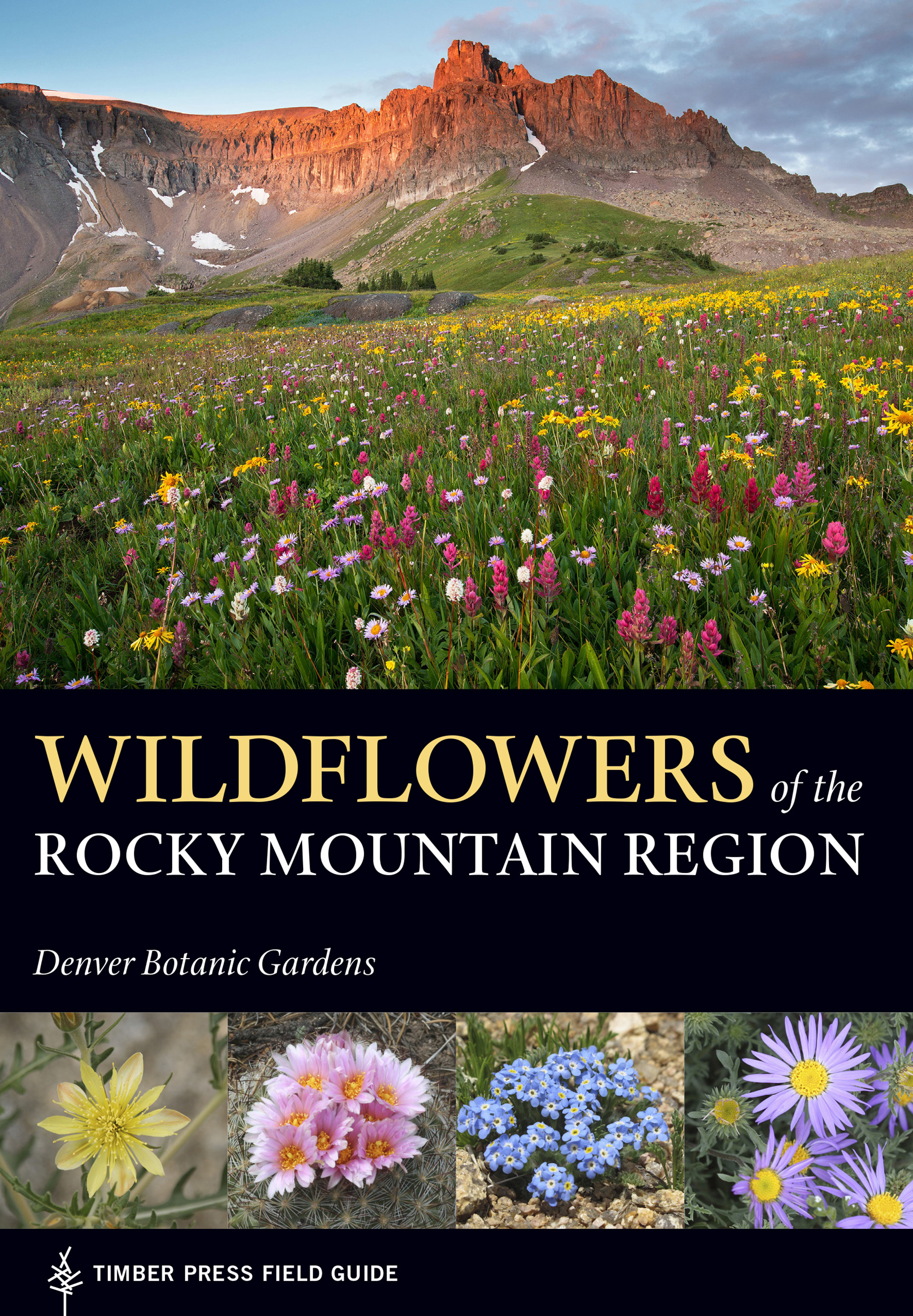 Wildflowers of the Rocky Mountain Region cover image cdn