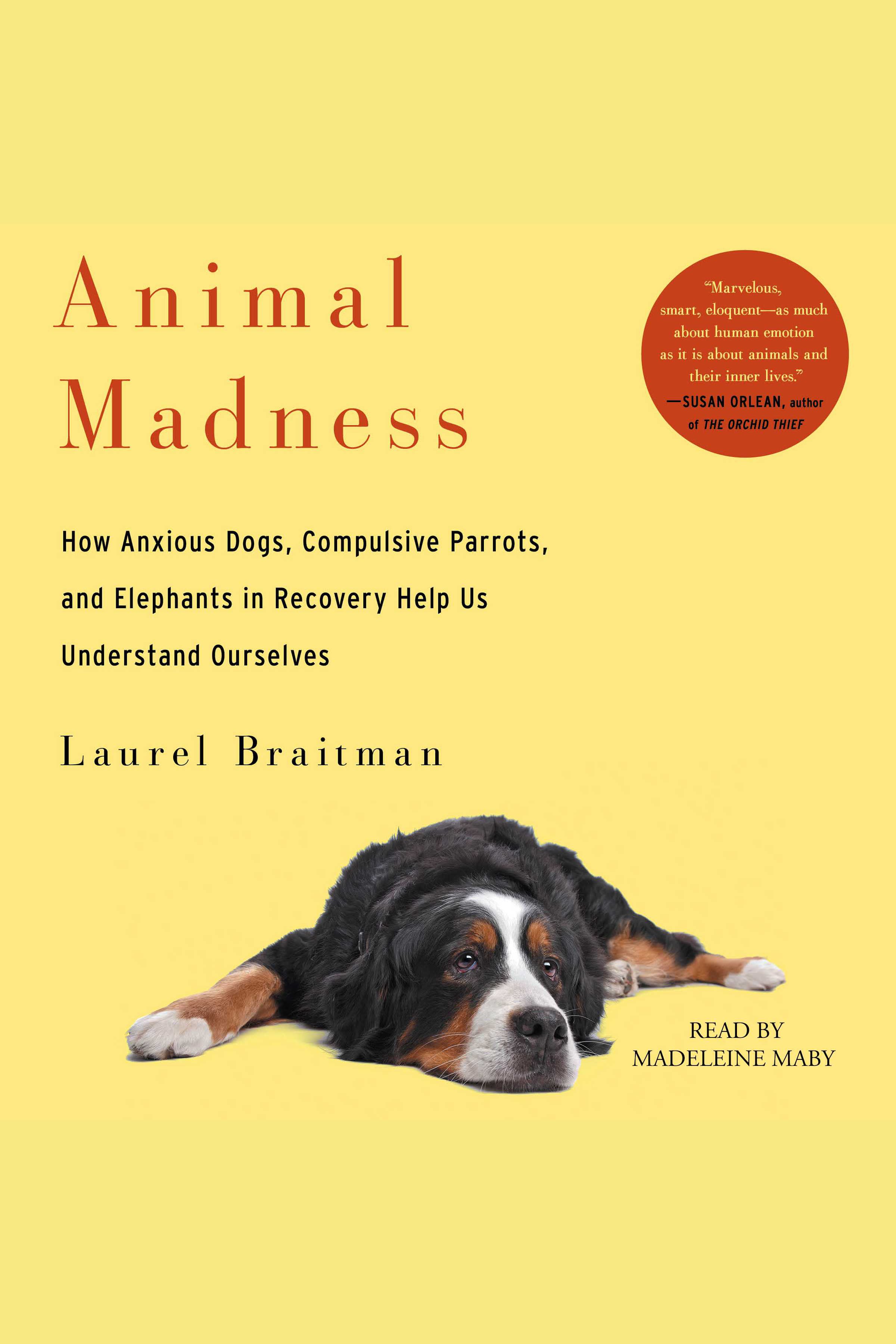 Animal Madness How Anxious Dogs, Compulsive Parrots, Gorillas on Drugs, and Elephants in Recovery Help Us Understand Ourselves cover image cdn