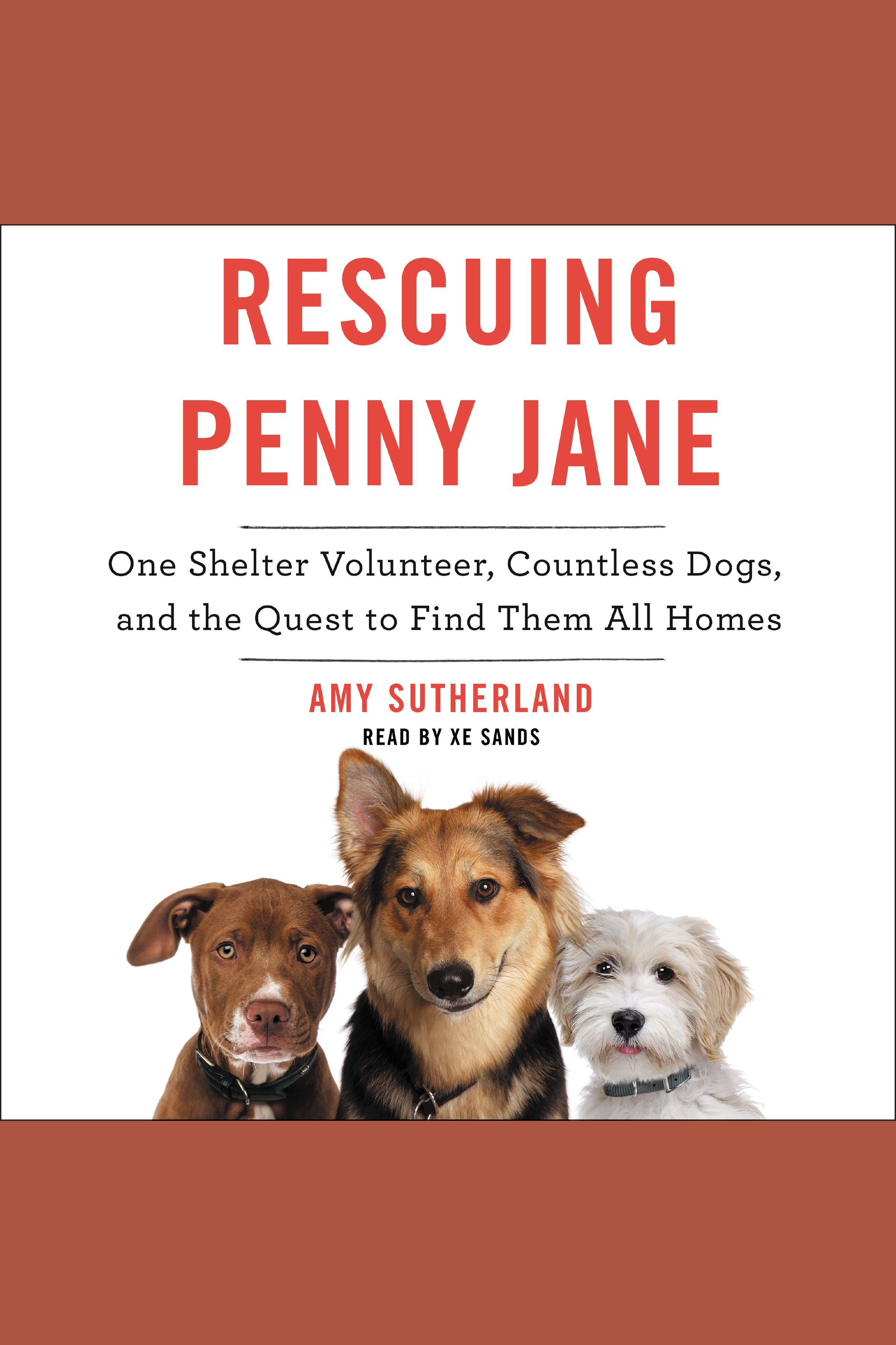 Rescuing Penny Jane One Shelter Volunteer, Countless Dogs, and the Quest to Find Them All Homes cover image cdn