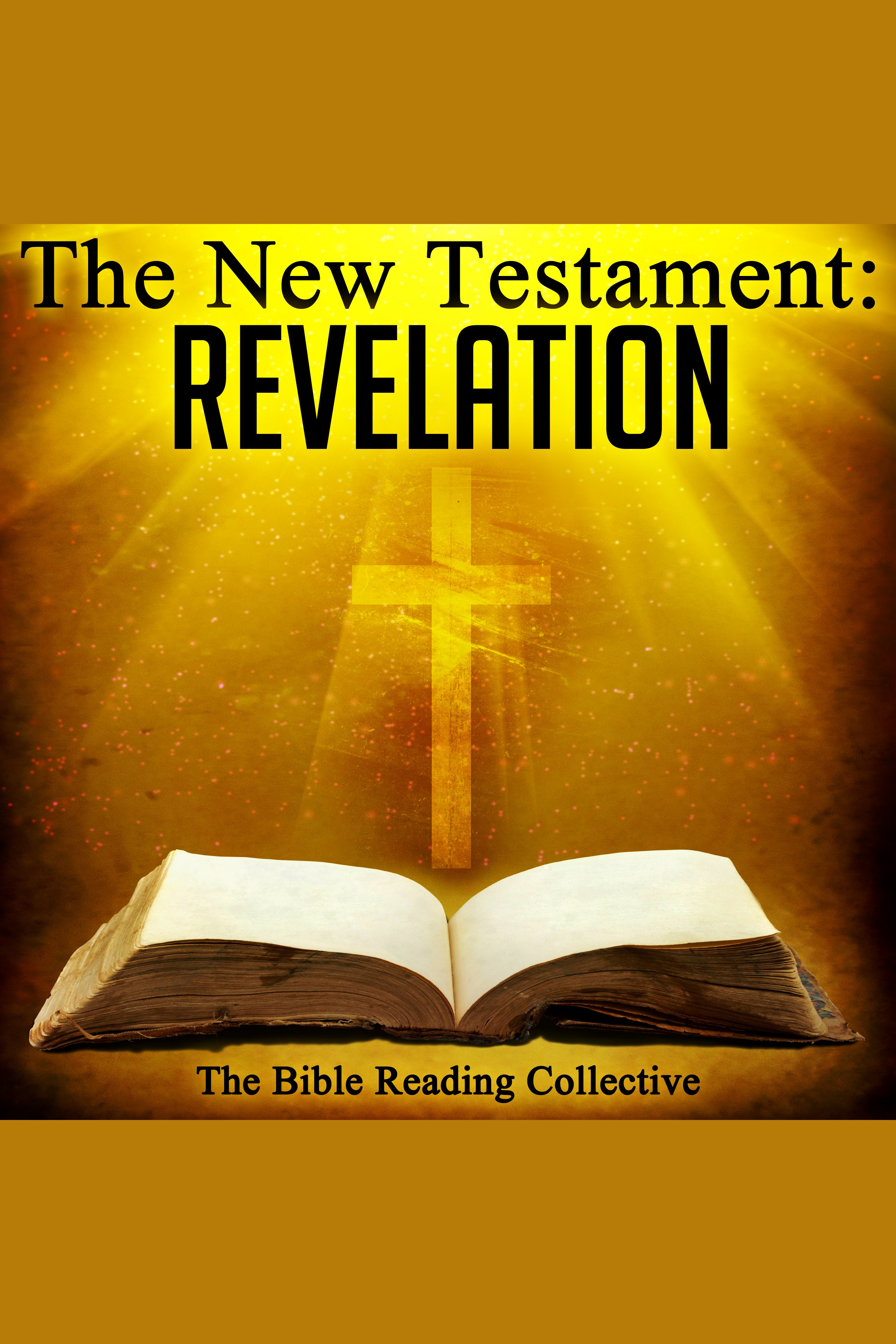 The New Testament: Revelation cover image cdn