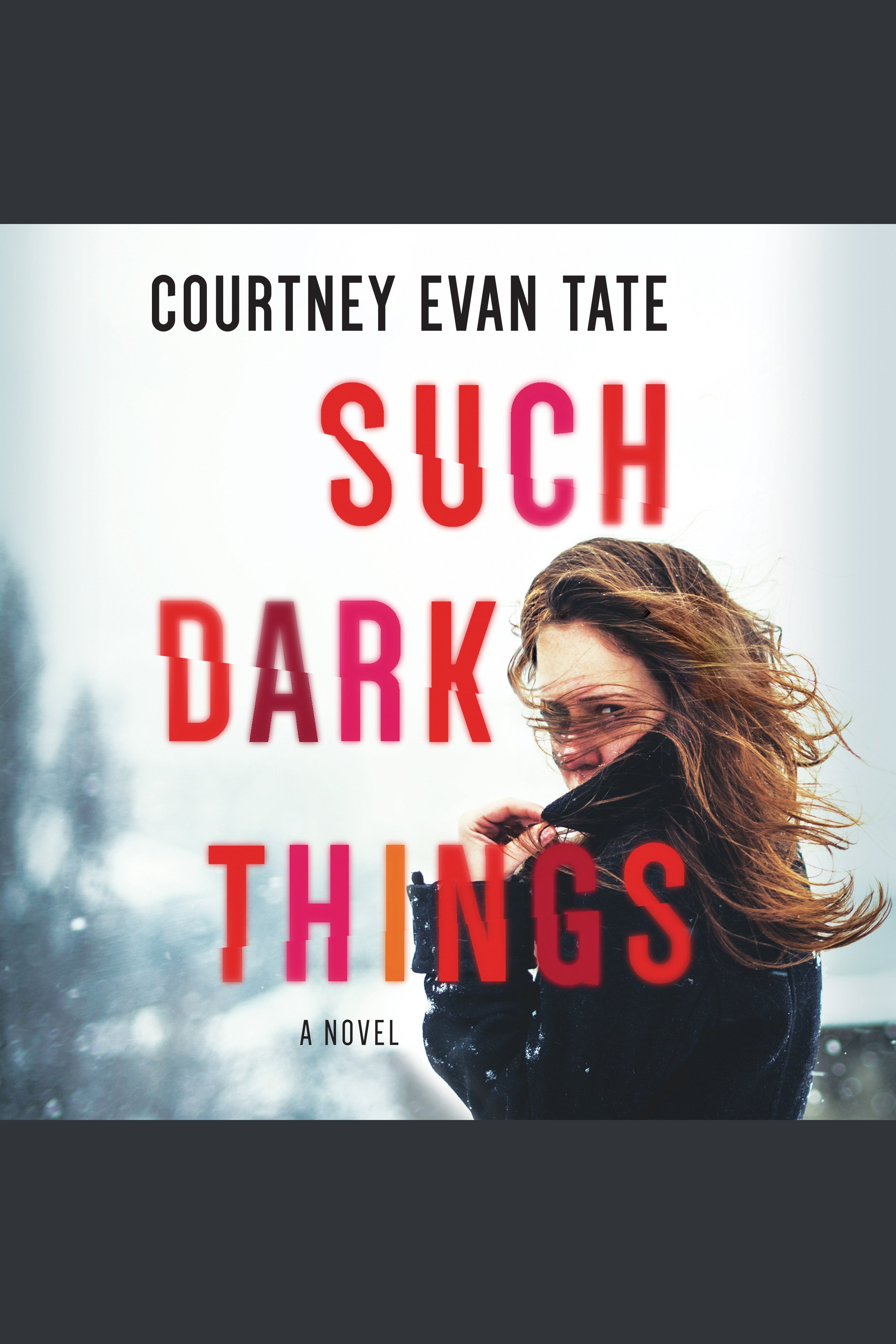 Such Dark Things cover image cdn