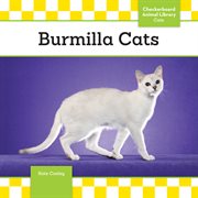 Burmilla cats cover image cdn