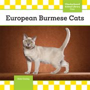 European Burmese cats cover image cdn