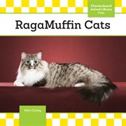 Ragamuffin cats cover image cdn