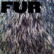 Fur cover image cdn