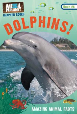Dolphins!  cover image cdn