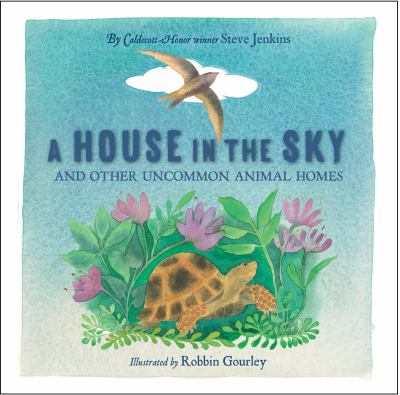A house in the sky  cover image cdn