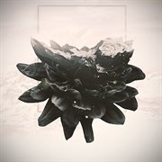 Catharsis cover image cdn