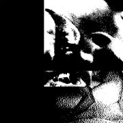 Remnants cover image cdn