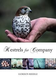 Kestrels for company cover image cdn