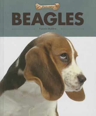 Beagles  cover image cdn