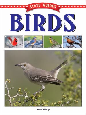 Birds cover image