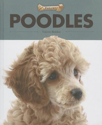 Poodles cover image