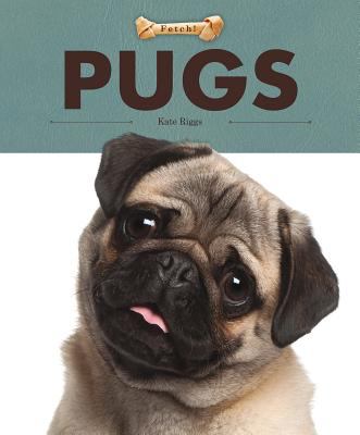Pugs  cover image cdn