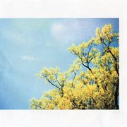 Am i happy, singing cover image cdn