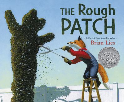 The rough patch  cover image cdn
