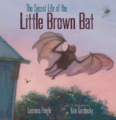 The secret life of the little brown bat  cover image cdn