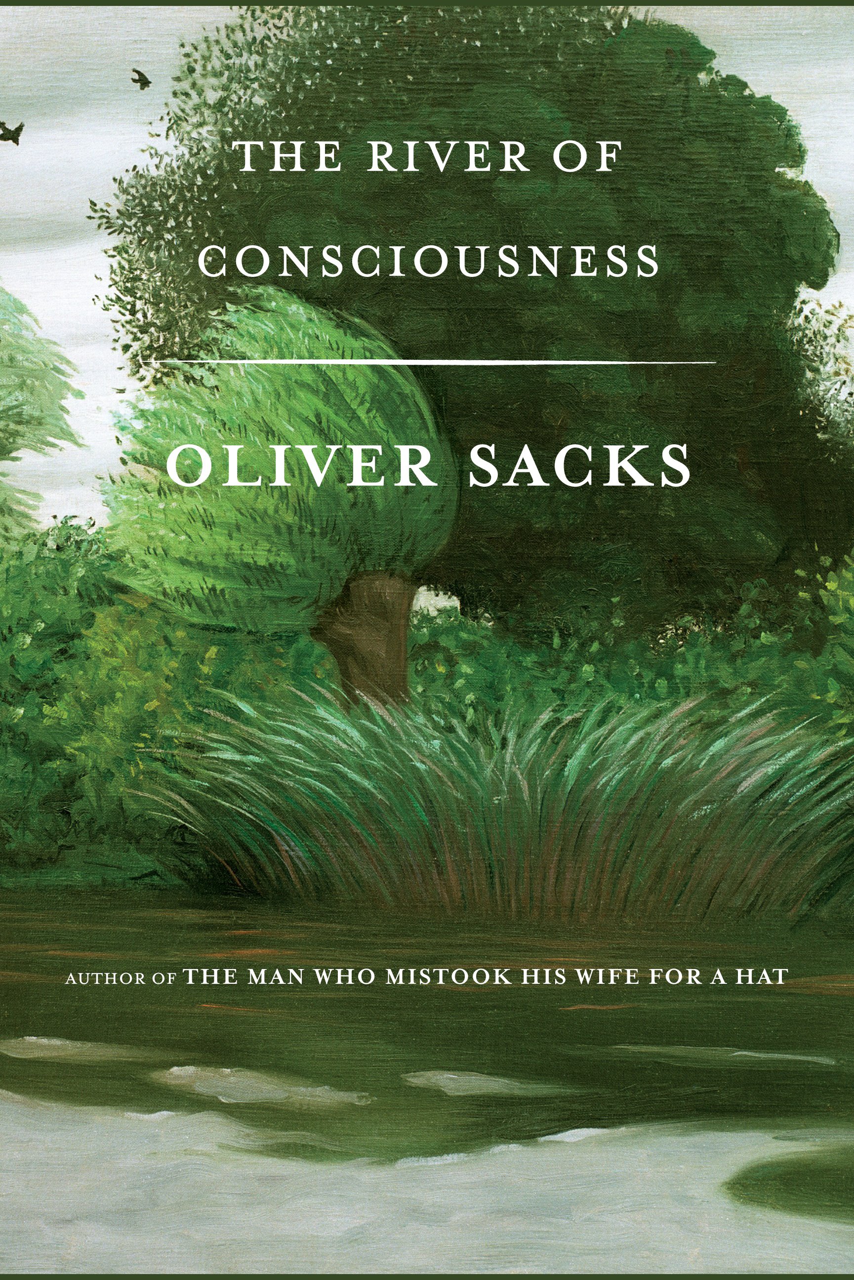 The river of consciousness cover image cdn