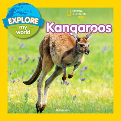 Kangaroos  cover image cdn
